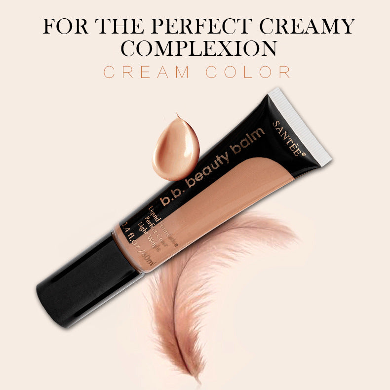 Long-Lasting Concealer Foundation Moisturizing Natural Color Powder Foundation