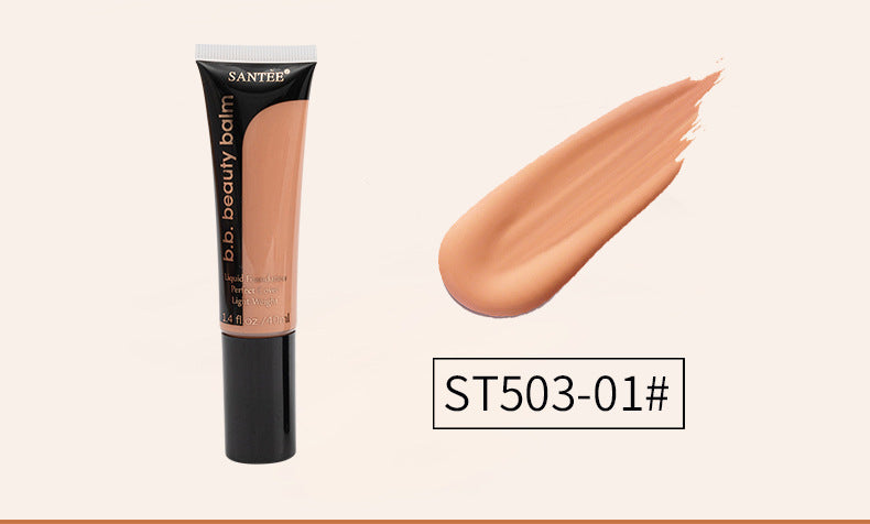 Long-Lasting Concealer Foundation Moisturizing Natural Color Powder Foundation